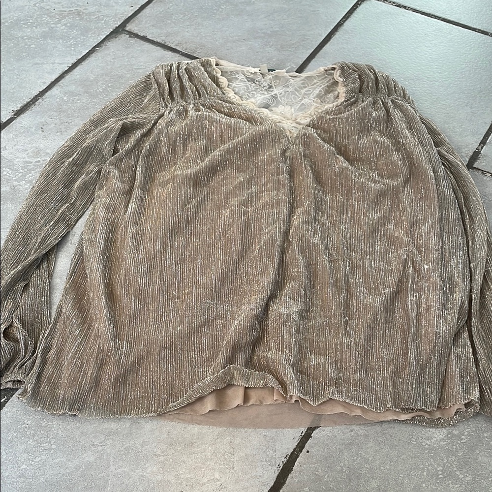 Shimmering Beige Long Sleeve Top